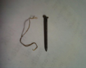 Horsehair worm by nail