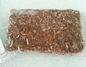 Small Worms or Larvae in Snack Bar (with Picture)
