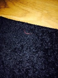 Pink Worm in Carpet Might be an Earthworm