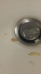slimy sink worm