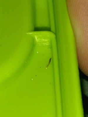 Worm on Mattress Probably Flea Larva