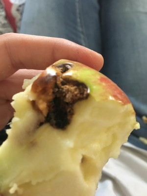 Did I Share My Apple With A Worm? Should I Worry?