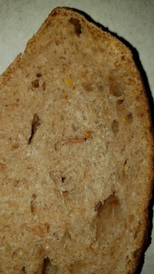 Small, Pink Worm Found in Bread is a Pantry Moth Larva