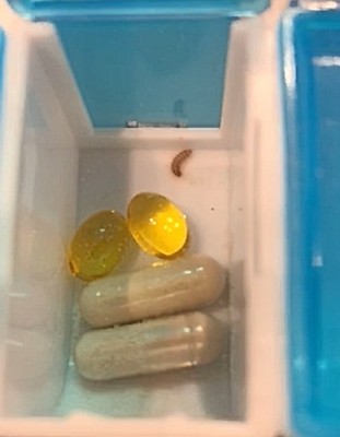 Carpet Beetle Larva Discovered Inside a Pill Box