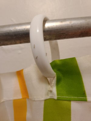 Whitish Worms on Shower Curtain Could Be Clothes Moth Larvae or Fall Armyworms