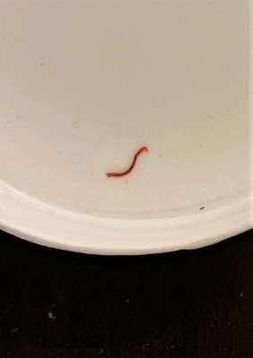 Red Larva is Indeed a Bloodworm, Though Concerns About Parasites are Raised
