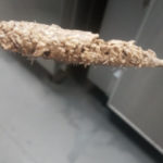 Thousands of Worms Discovered Inside Ice Cream Machine: Urgent Action Recommended