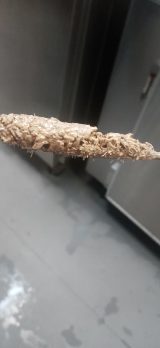Thousands of Worms Discovered Inside Ice Cream Machine: Urgent Action Recommended
