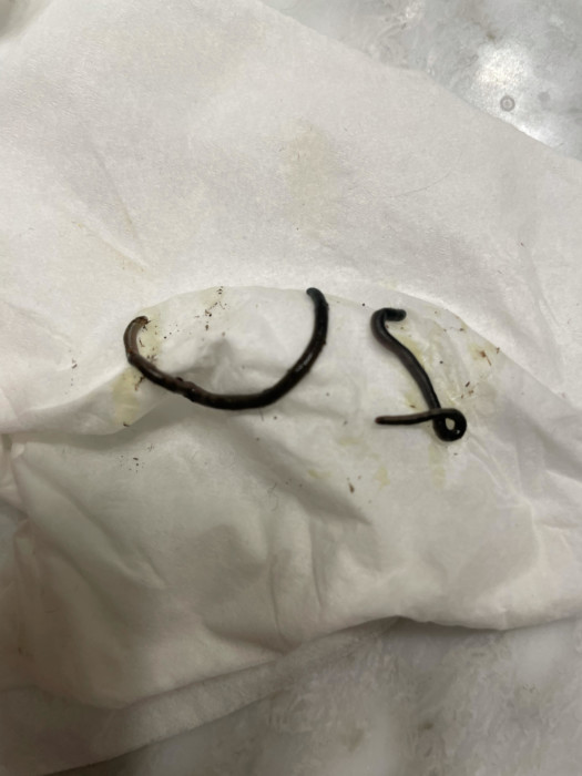 Black Worms Surfacing from Houseplant Look Like Blind Snakes