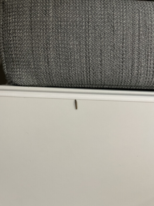 Dark Brown Worm on Cubicle Desk Causes Concern in the Office