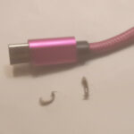 Pink Worms with Hooks at their Rears Invade Dog Owner’s Motel Room