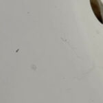 Tiny Worms Crawling Around Sink Could be Drain Fly Larvae