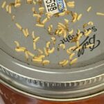 Tiny, Yellow Worms in Pantry are Indianmeal Moth Caterpillars