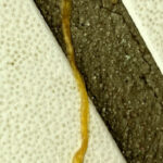 Strange, Yellow Worm on Bathroom Floor May Require a Medical Professional’s Eye