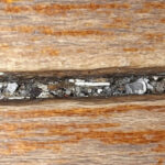 Blackened Floorboards Causes Concern About Insect Eggs
