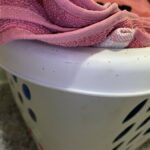 Gray Worms Swarming Laundry Basket are Newly-hatched Caterpillars