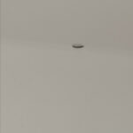 Black Worm on Ceiling Could be Millipede